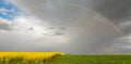 Spring. Colza Seeds. Oil. Field. Stormy. Sky Royalty Free Stock Photo