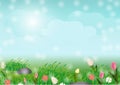 Spring comes soon background