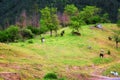 Amazing spring view with a little village in Rhodopi Mountains, Bulgaria. Magnificent landscape, green fields, small houses. Royalty Free Stock Photo