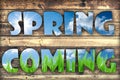 Spring coming Royalty Free Stock Photo