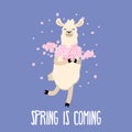 Spring is coming cute card with funny llama Royalty Free Stock Photo