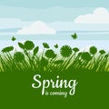 Spring is coming. Green field, flowers, sky. Camomile, grass, dandelion. Background. Vector, isolate, illustrarion Royalty Free Stock Photo