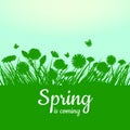 Spring is coming. Green field, flowers, sky. Camomile, grass, dandelion. Background. Vector, isolate, illustrarion Royalty Free Stock Photo