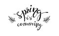 Spring is coming headline. Decorated with twigs. Hand drawn calligraphy title text.