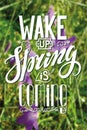 Spring is coming.Lettering,grass flower background