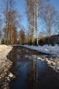 Spring is coming the month of March. Alley in the park with melting snow puddles and ice on a sunny spring day