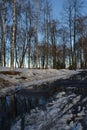 Spring is coming, the month of March. Alley in the park with melting snow, puddles and ice on a sunny spring day