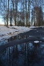 Spring is coming, the month of March. Alley in the park with melting snow, puddles and ice on a sunny spring day