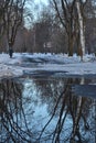 Spring is coming the month of March. Alley in the park with melting snow puddles and ice on a sunny spring day