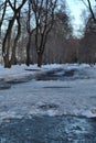 Spring is coming the month of March. Alley in the park with melting snow puddles and ice on a sunny spring day