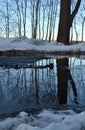 Spring is coming the month of March. Alley in the park with melting snow puddles and ice on a sunny spring day