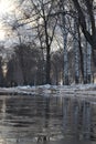 Spring is coming the month of March. Alley in the park with melting snow puddles and ice on a sunny spring day