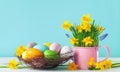 Spring composition with colorful Easter eggs in nest, spring daffodil flowers and green grass Royalty Free Stock Photo