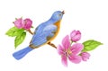 Spring composition consisting of cherry flowers, green leaves and blue bird sitting on branch. Watercolor illustration for