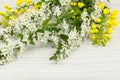 Spring composition of fresh flowering branches of yellow magonia and gray spirea close-up.