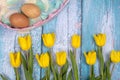 Spring composition of yellow flowers, a tulip, a basket of sweets and eggs on a blue background. Congratulations on Easter.