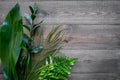 Spring composition. Young green leaves and branches on dark wooden background top view copy space