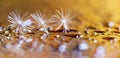 Golden spring banner of dandelion white flowers