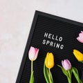 Spring concept. Pink and yellow tulips and letterboard with quote Hello Spring Royalty Free Stock Photo