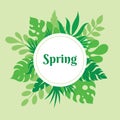 Spring - concept poster vector illustration with leaves of exotic plants. Tropical paradise banner template. Springtime frame