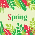 Spring - concept poster vector illustration with leaves of exotic plants. Tropical paradise banner template. Springtime frame Royalty Free Stock Photo