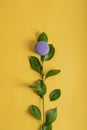 Spring concept. Purple macarons in the form of a flower on a yellow background. Copy space. March 8. Macaroon. French cuisine
