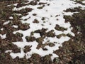 Spring concept. Snow is melting. Earth and dry grass are visible between the snow