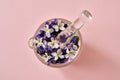 Spring concept - white and purple English violet flowers in a glass mortar on a pastel pink background