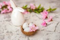 Spring conceptual photo with flowers. Flat lay blooming tree, easter eggs. The tree blooms pink and the eggs in the nest and copy