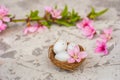 Spring conceptual photo with flowers. Flat lay blooming tree, easter eggs. The tree blooms pink and the eggs in the nest and copy