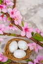 Spring conceptual photo with flowers. Flat lay blooming tree, easter eggs. The tree blooms pink and the eggs in the nest and copy