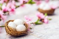 Spring conceptual photo with flowers. Flat lay blooming tree, easter eggs. The tree blooms pink and the eggs in the nest and copy