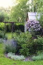 spring in cottage english garden. Blooming syringa meyeri Palibin, wooden archway, catnip (nepeta) and stachys. Royalty Free Stock Photo
