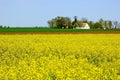 Spring Countryside Royalty Free Stock Photo