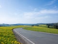 spring countryside of german sauerland with blooming fields of dandelions Royalty Free Stock Photo