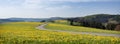 spring countryside of german sauerland with blooming fields of dandelions Royalty Free Stock Photo