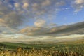 Springtime.Between Apulia and Basilicata: hilly landscape with green cornfields.ITALY. Royalty Free Stock Photo