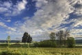 Hilly landscape with corn field immature dominated by clouds: Alta Murgia National Park, Apulia Italy. Royalty Free Stock Photo