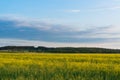 Spring countryside landscape with blooming Royalty Free Stock Photo