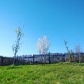 Spring countryside landscape - peaceful blue sky