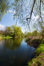 Spring countryside with river
