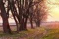 Spring countryside sunset. Old country road in the park Royalty Free Stock Photo