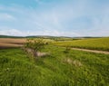 Spring countryside view with dirty road, rapeseed yellow blooming fields, village, hills. Ukraine, Lviv Region Royalty Free Stock Photo