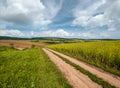 Spring countryside view with dirty road, rapeseed yellow blooming fields, village, hills. Ukraine, Lviv Region