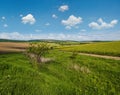 Spring countryside view with dirty road, rapeseed yellow blooming fields, village, hills. Ukraine, Lviv Region Royalty Free Stock Photo