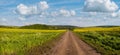 Spring countryside view with dirty road, rapeseed yellow blooming fields, village, hills. Ukraine, Lviv Region Royalty Free Stock Photo