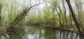 Spring creek in Toogood Pond Park