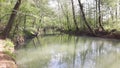 Spring creek water beauty clear nature mother earth Royalty Free Stock Photo