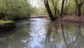 Spring creek water beauty nature tennessee Royalty Free Stock Photo