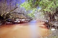 Spring creek water landscape Royalty Free Stock Photo